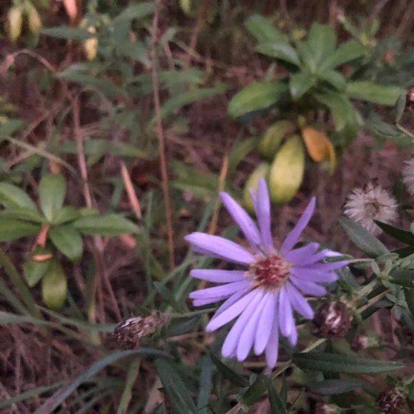 Meet your Posher, Kaitlin - Picture 1 of 1